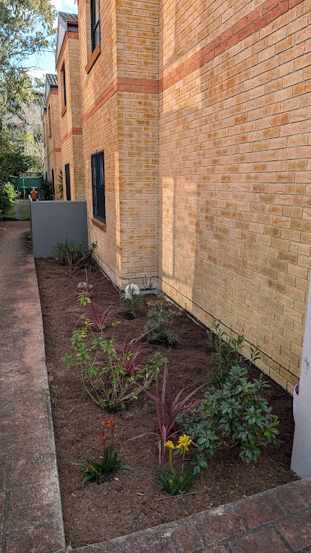 Goran's Garden Services project 10