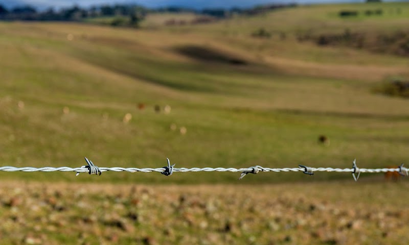 Great Southern Fencing photo 1