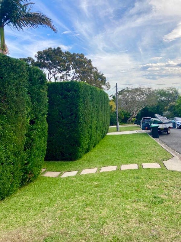 Green Gardens of Sydney project 9