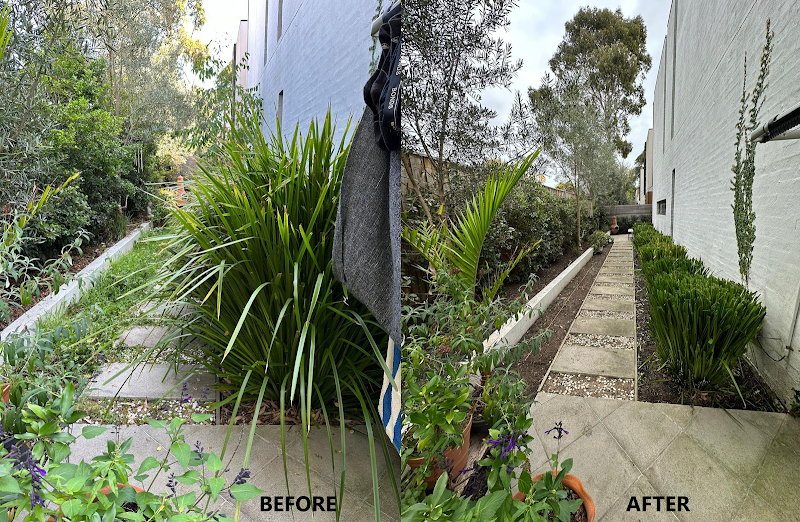 GreenGo Garden Service work 3