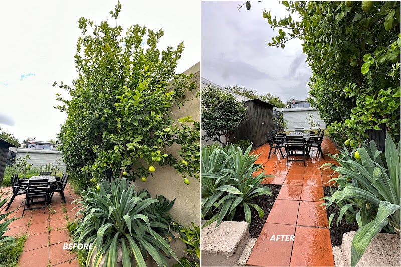 GreenGo Garden Service project 7