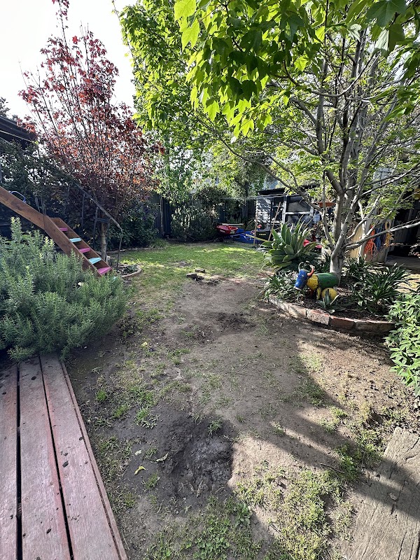 GreenGo Garden Service project 8