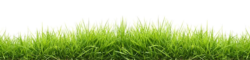 Greenprint Landscapes photo 1