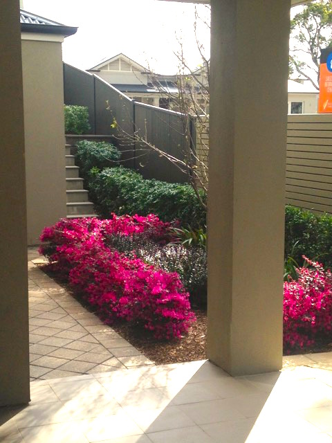 Greenslades Landscaping project 7