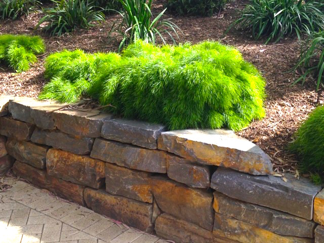Greenslades Landscaping project 8
