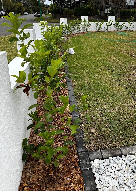 Greenvue Landscaping and Fencing project 7