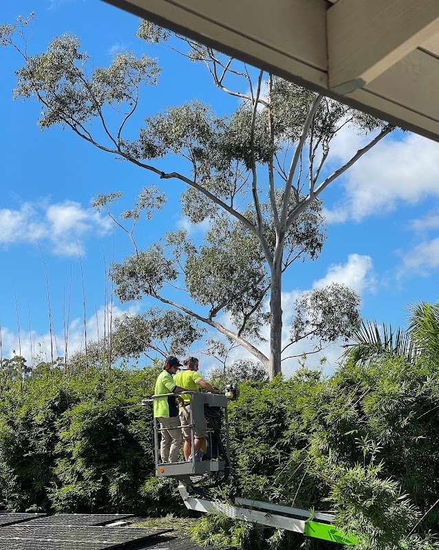 Guardians Garden and Tree Care work 2