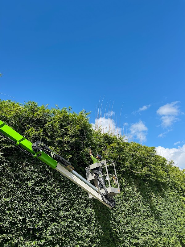 Guardians Garden and Tree Care project 7