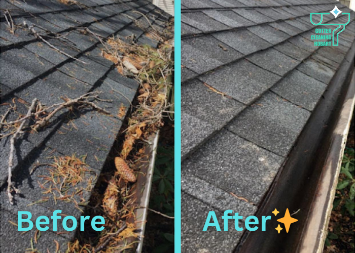 Gutter Cleaning Hobart project 6