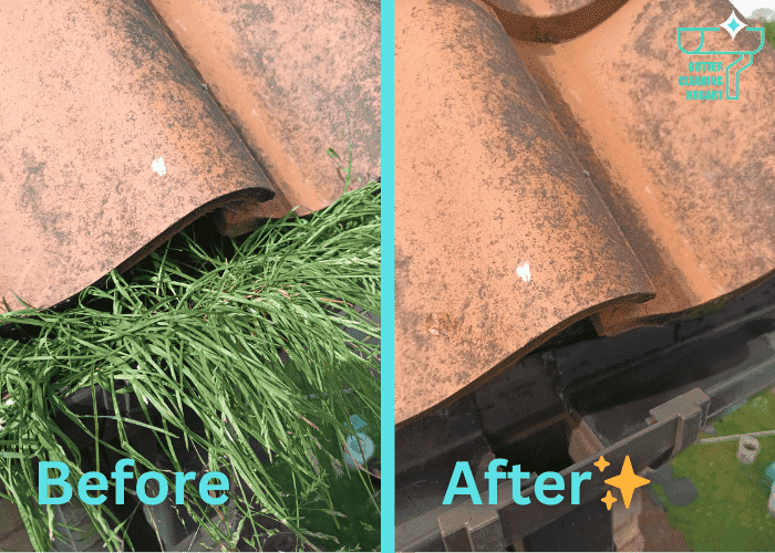Gutter Cleaning Hobart project 7