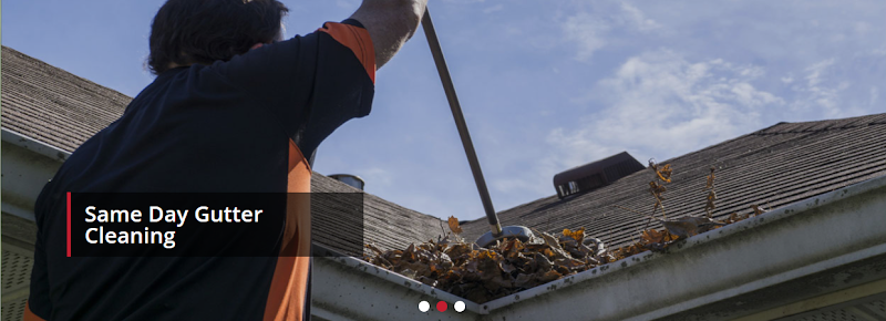 Gutter-Snipe Gutter Cleaners work 3