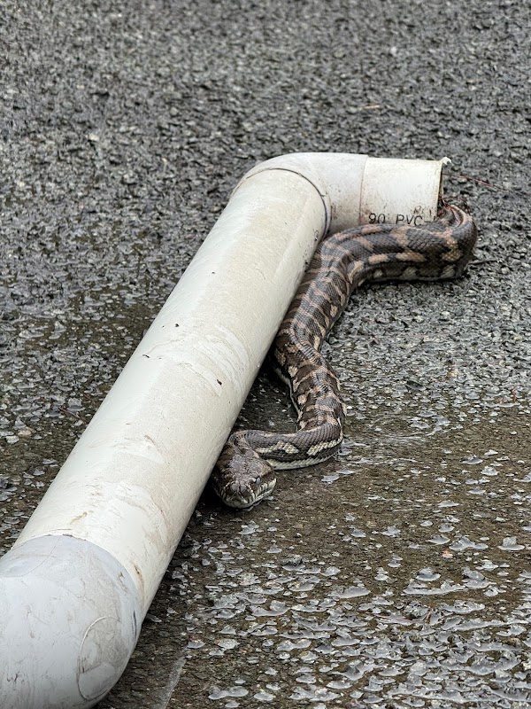 Hardy & Sons Plumbing project 6