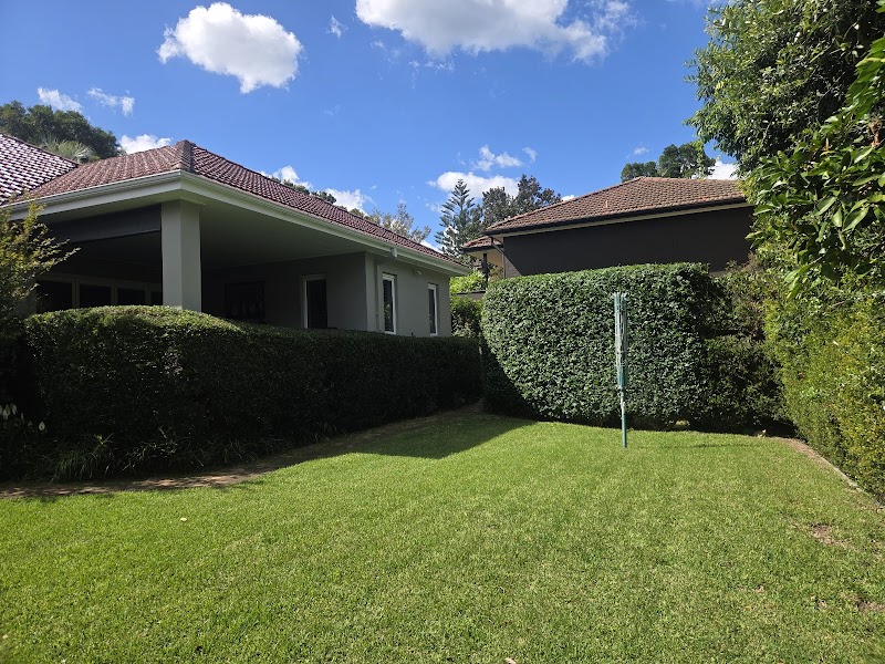 Hedge Trimmer with a Ladder work 2