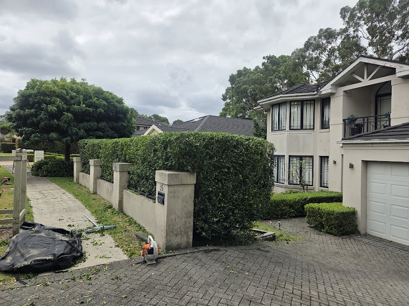 Hedge Trimmer with a Ladder work 4