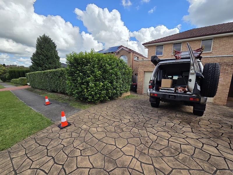 Hedge Trimmer with a Ladder project 6