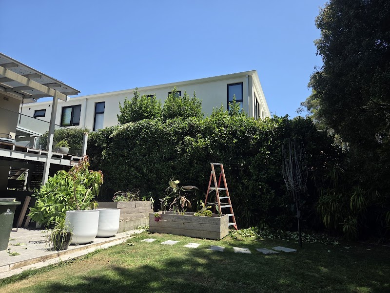 Hedge Trimmer with a Ladder project 8