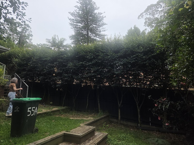 Hedge Trimmer with a Ladder project 10