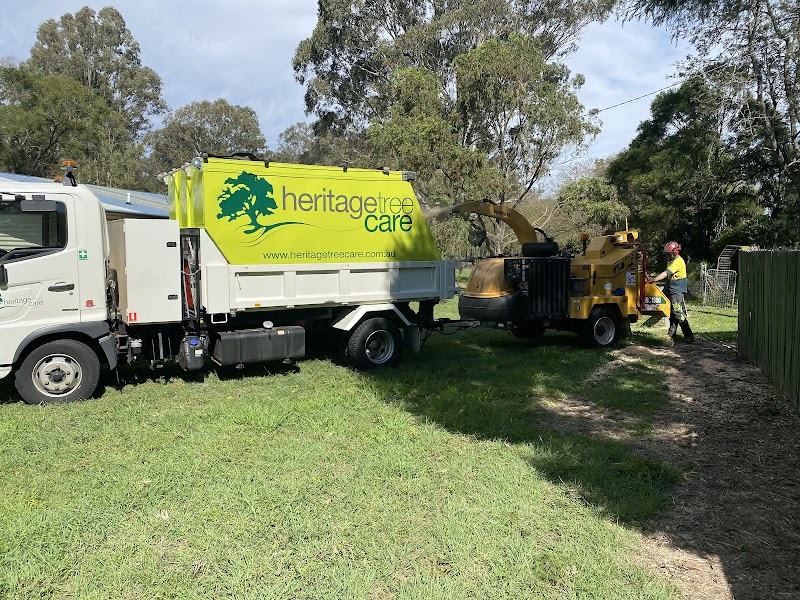 Heritage Tree Care project 6