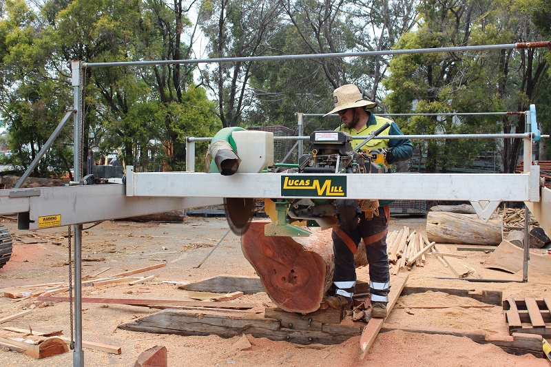 Heritage Tree Care project 9