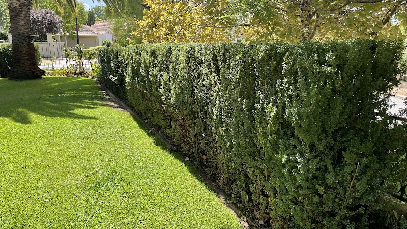 Hillside Garden Co. photo 1
