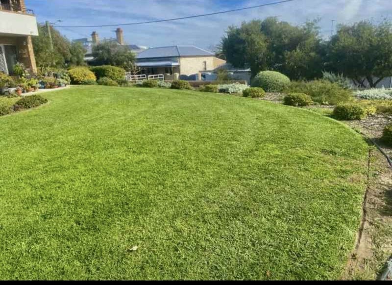 Hillside Garden Co. project 10