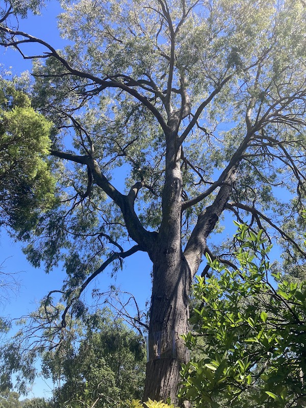 Hive Tree Services photo 3