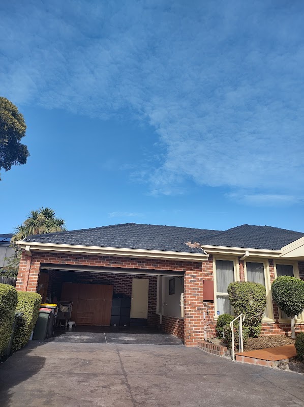 Hive Tree Services project 5