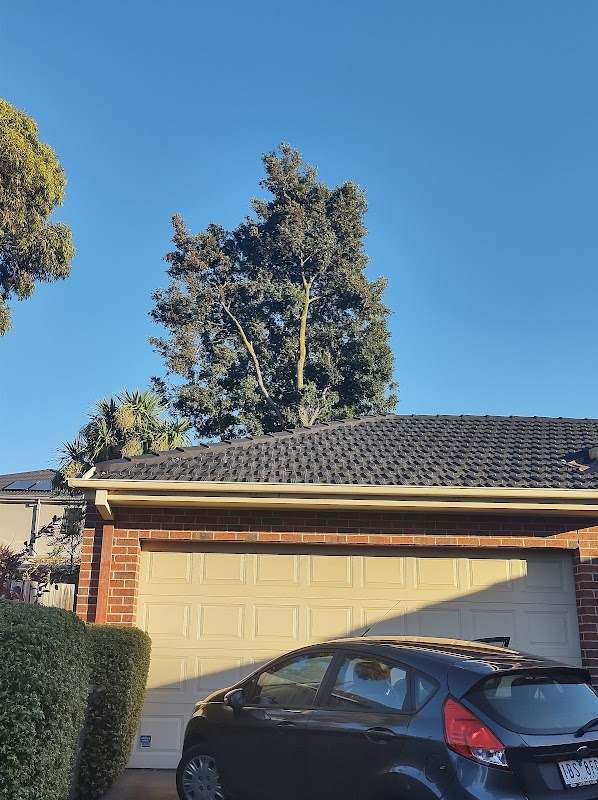 Hive Tree Services project 9