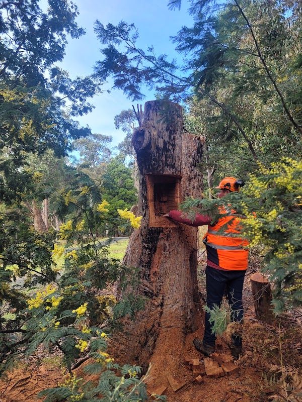 Hobart Arbor Co. project 8