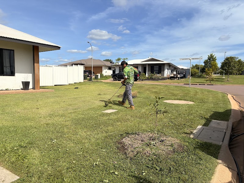 Home Grown Lawn Mowing work 3