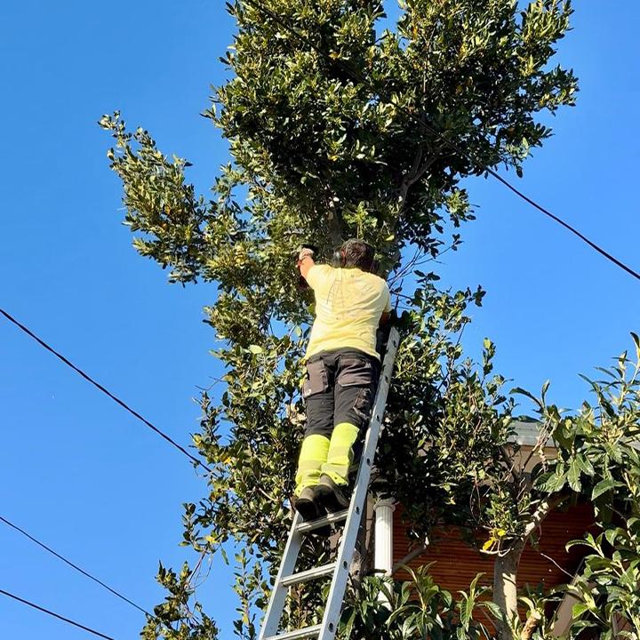 Homehapi Pty Ltd - Gardening & House Maintenance project 9