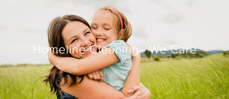 Homeline Cleaning work 1