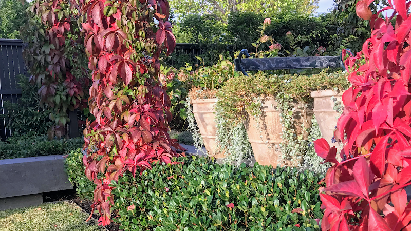 Horticulture & House work 1