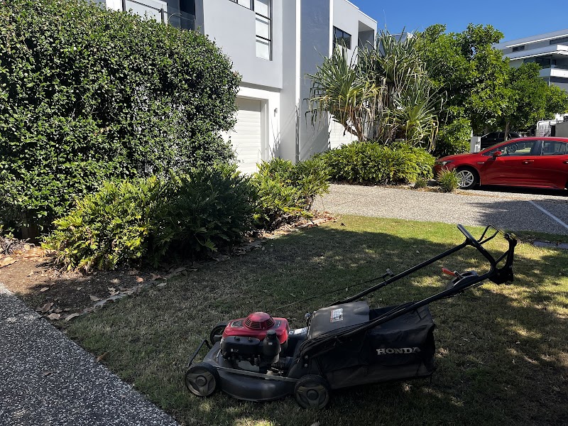 IGS Home Care - Gardening project 5