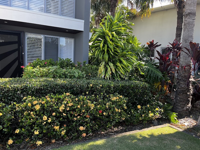 IGS Home Care - Gardening project 6