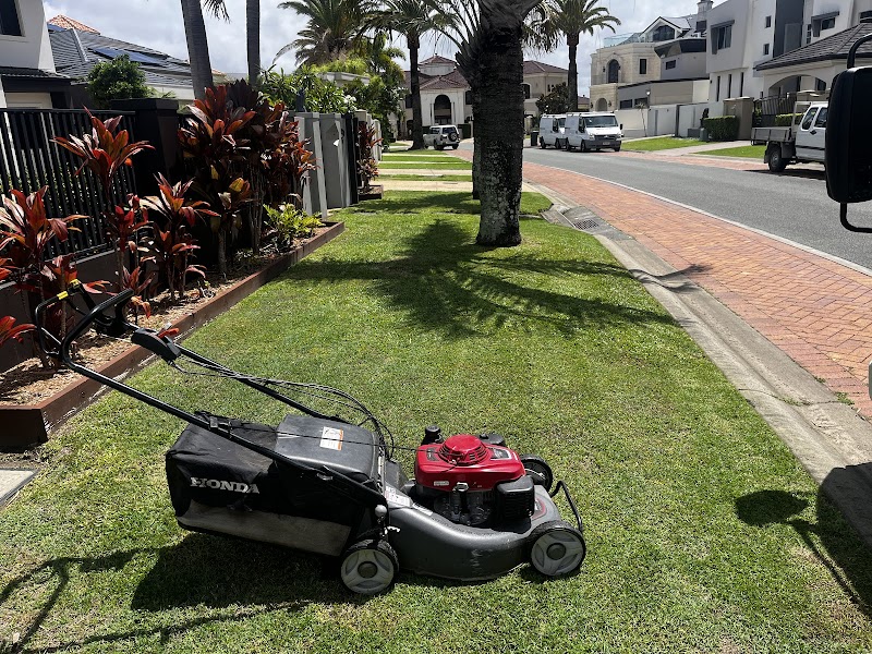 IGS Home Care - Gardening project 9