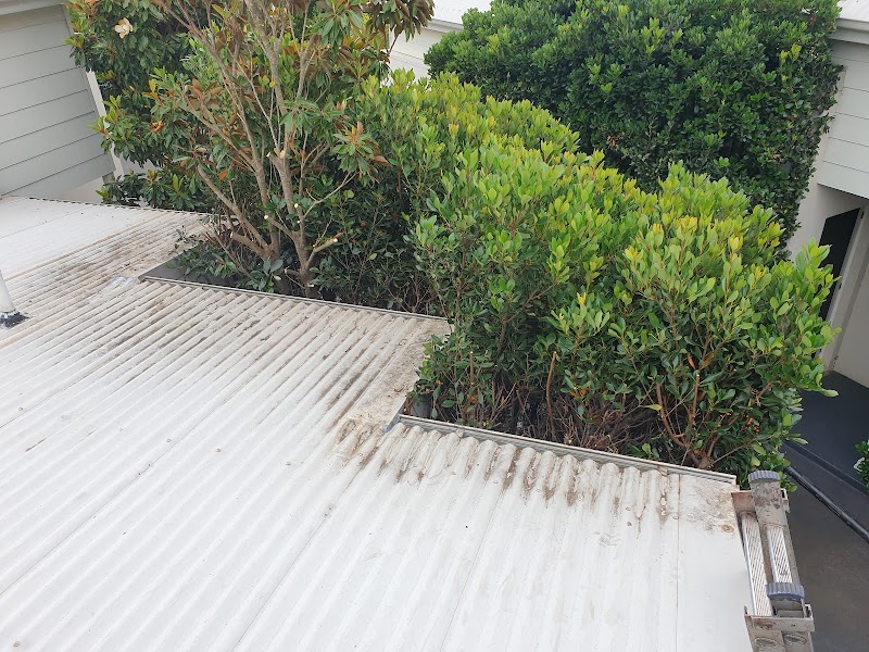 Illawarra Roof Maintenance project 8