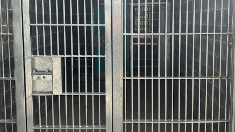 Illawarra Slats and Fencing project 10
