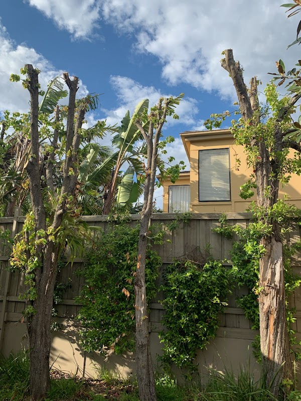 Inlandia Gardening & Landscaping project 7