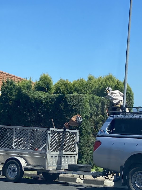 Integrity Gardening photo 2