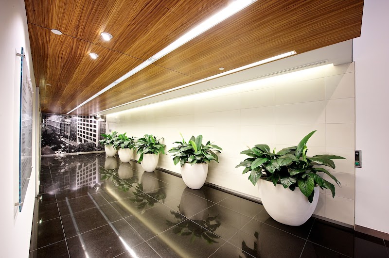 Ivy Constructions Australia Pty Ltd work 2