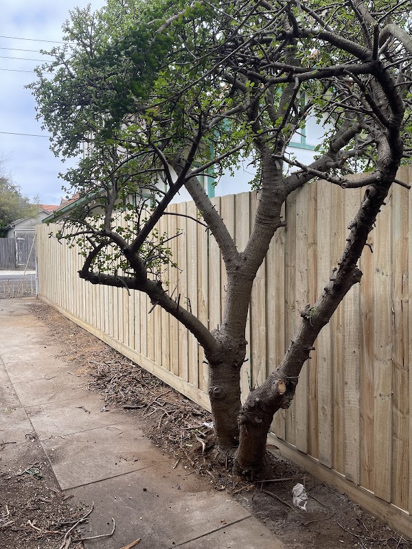 Ivy Fencing Solutions work 4
