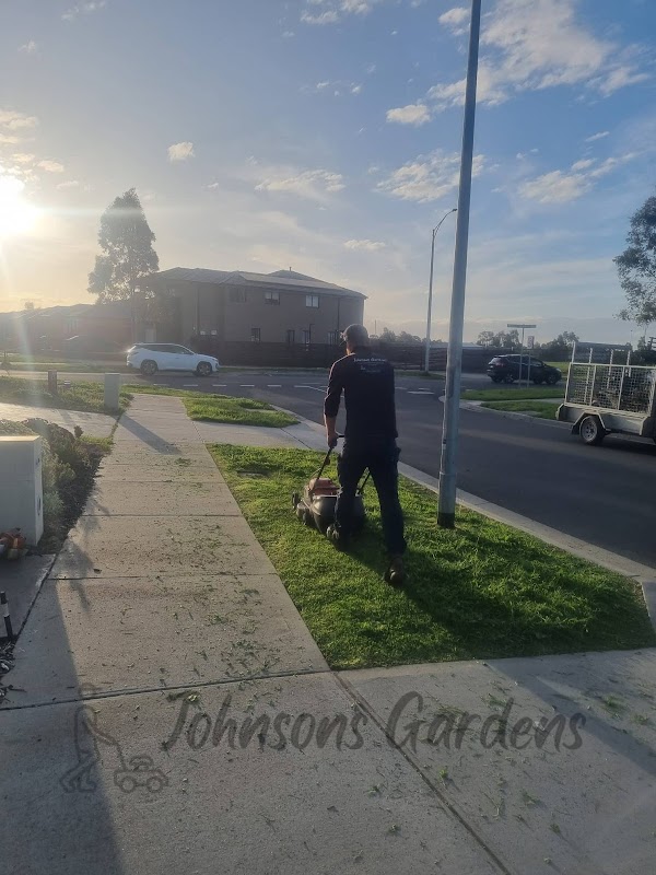 Johnsons Gardens project 7