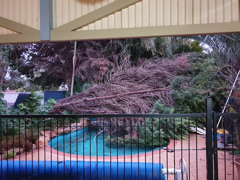 Joshua Tree WA PTY LTD project 7
