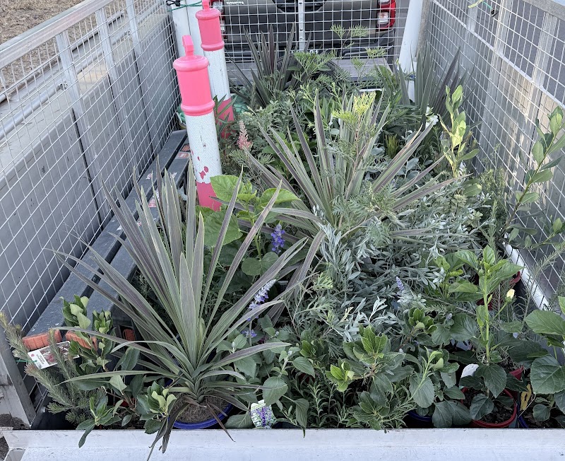 Jub's Gardening & Lawn Services work 4
