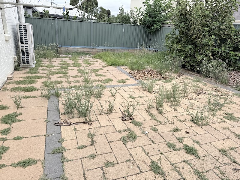 Jub's Gardening & Lawn Services project 5