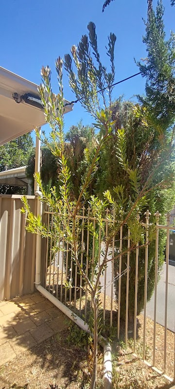 Jub's Gardening & Lawn Services project 7