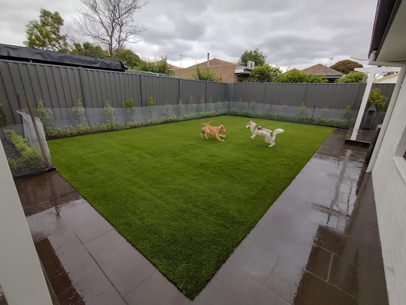 K9 Grass work 2