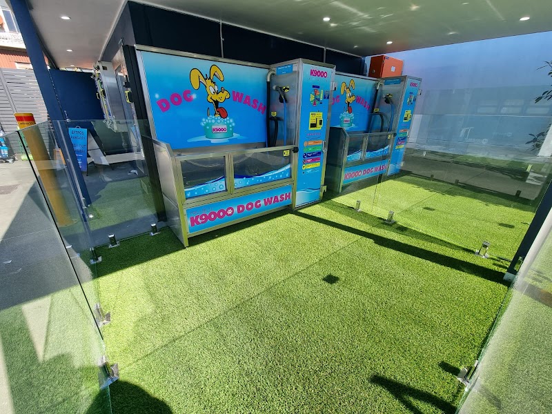 K9 Grass project 5