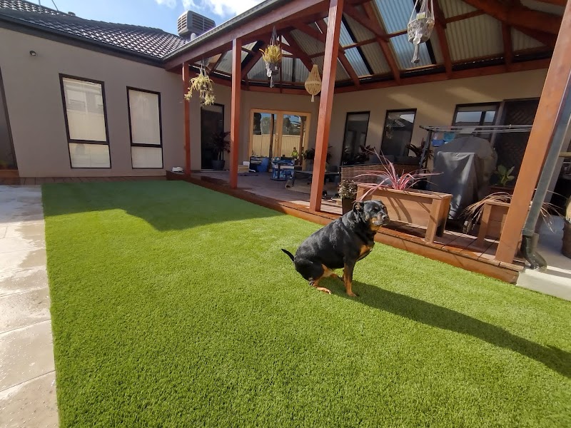 K9 Grass project 7